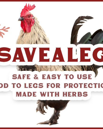 SaveALeg - Herbal Leg Salve For Scaly Leg Mites