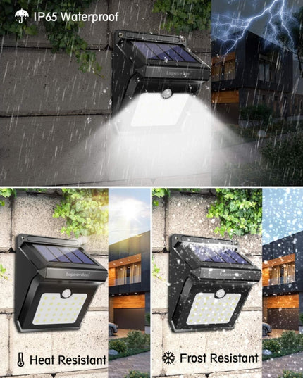 Solar LED Lights