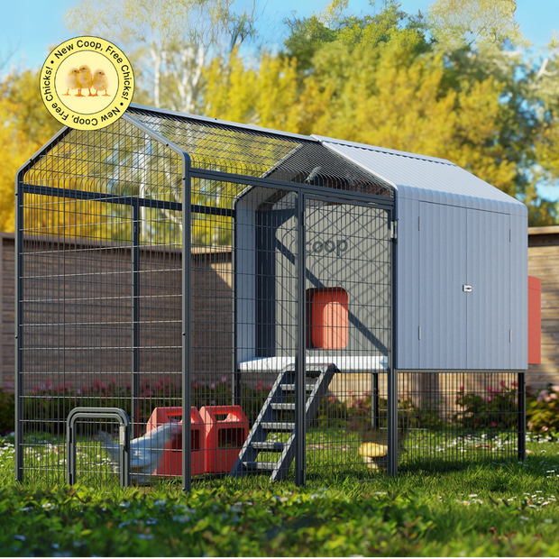 <h3>Smart Coops Collection</h3>