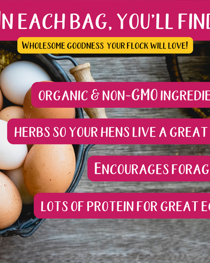 Premium Cracked Corn - Grown in Missouri for Pet Chickens