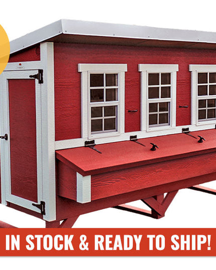 XL Chicken Coop - Up to 20 Chickens