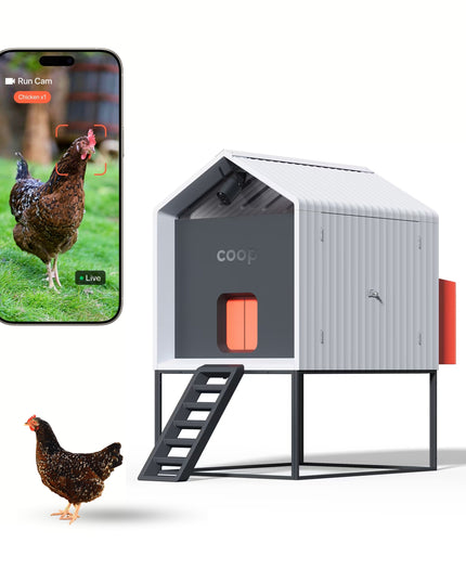 The Smart Coop + Base (+ Free Chicks! 🐣)