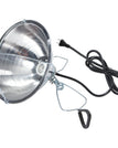 Lamp with Clamp (No Bulb Included)