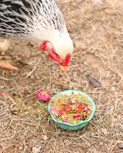 WormBGone Nesting Herbs For Pet Chickens With Roses, Chilis, Calendula, Dandelion For Healthier Coops