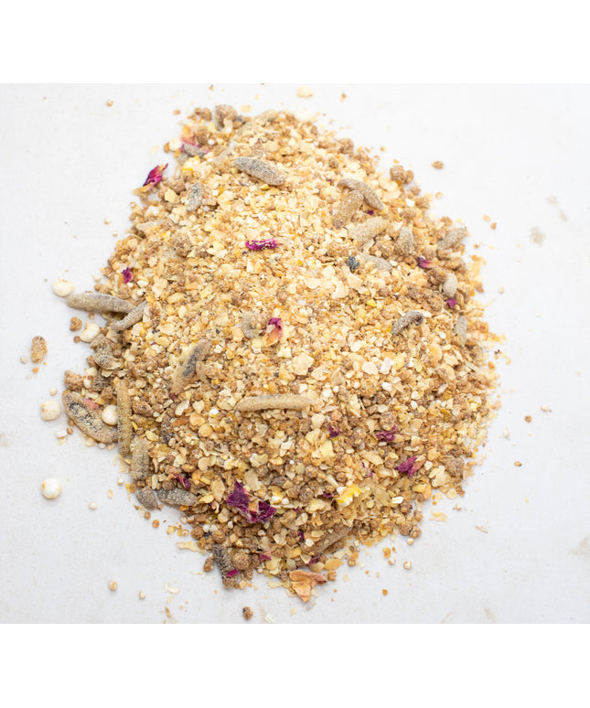 Chickeratti Treat For Baby Chicks