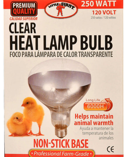 Clamp-On Brooder Heat Lamp for Chicks & Poultry - Compatible with 250W Red & Clear Heat Bulbs