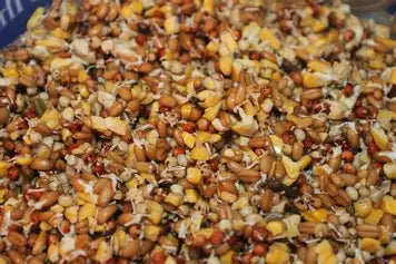 Sprouting Seed Mix for Poultry Fodder, Natural Protein Boost, Fresh Greens Anytime, Better Egg Quality, Improve Feathers, Great Winter Treat and Entertainment