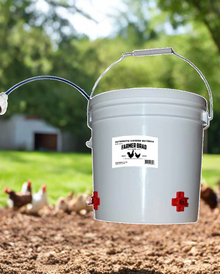 Automatic Chicken Waterer (2 Gallon)