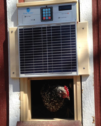 Automatic Door For Chicken Coop With Battery Backup