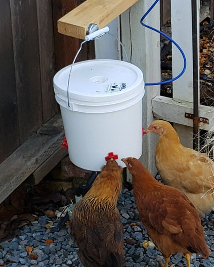 Automatic Chicken Waterer (2 Gallon)