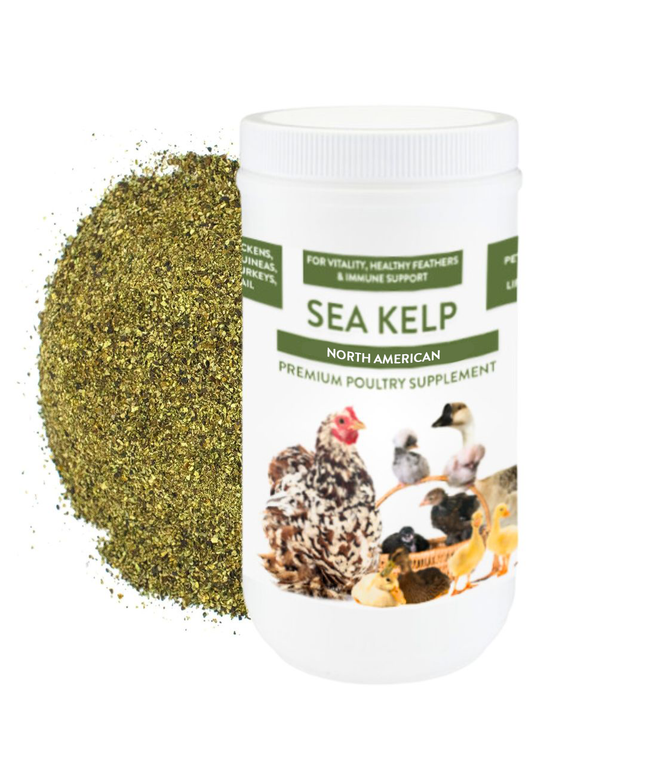 North Atlantic Kelp For Extra Vitamins, Minerals, & Amino Acids For Pet Chickens & Ducks