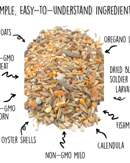 16% Premium Layer Feed With Black Soldier Fly Larvae, Fishmeal, & Herbs {Soy Free + High Protein}