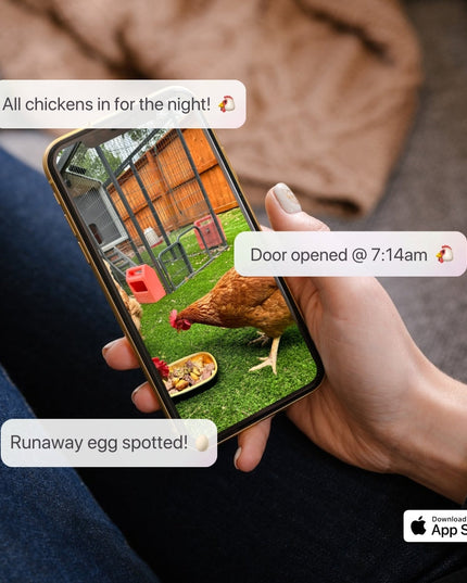 The Smart Coop + Base (+ Free Chicks! 🐣)