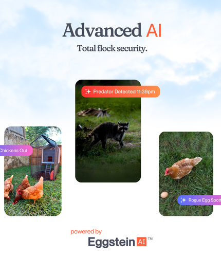 The Smart Coop Unlimited+ (+ Free Chicks! 🐣)
