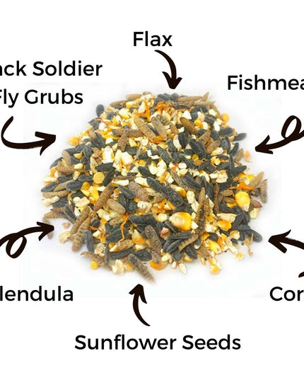 Omega Burst: Omega Rich Treat For Great Eggs & Feathers!