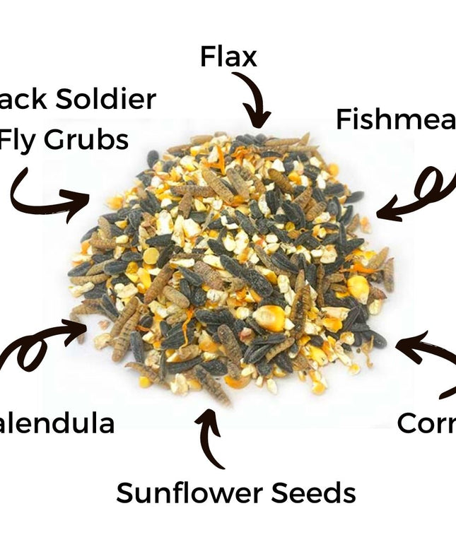 Omega Burst: Omega Rich Treat For Great Eggs & Feathers!