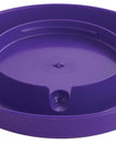 Base Only / Purple