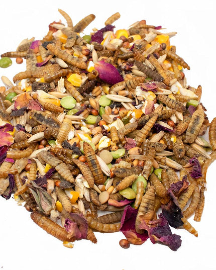Rainbow Burst Textured Treat To Encourage Natural Behaviors