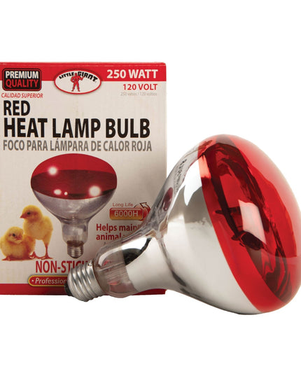 Clamp-On Brooder Heat Lamp for Chicks & Poultry - Compatible with 250W Red & Clear Heat Bulbs