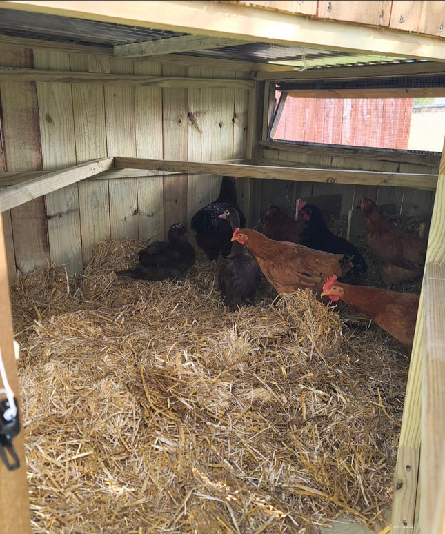 Wise County Chicken Farm Coops 4ft x 4ft
