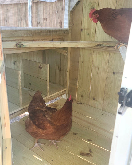 Wise County Chicken Farm Coops 4ft x 4ft