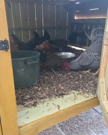 Wise County Chicken Farm Coops 4ft x 4ft