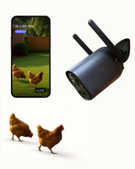 Smart CoopCam