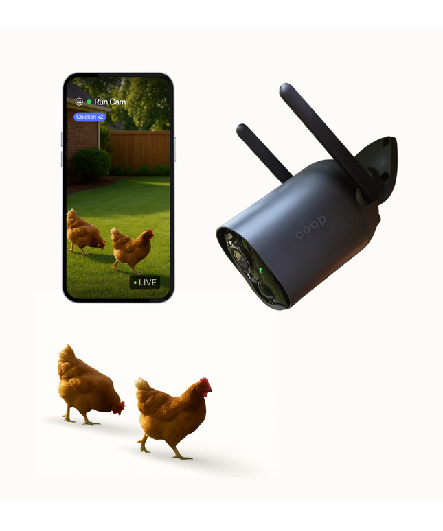 Smart CoopCam