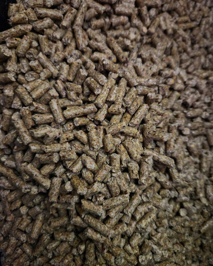 20% Layer Pellet Complete Feed