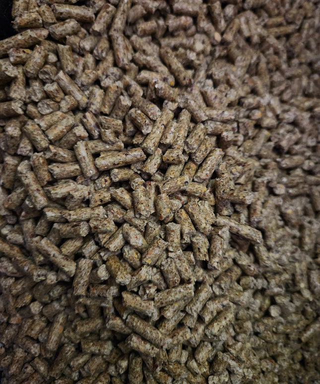 20% Layer Pellet Complete Feed